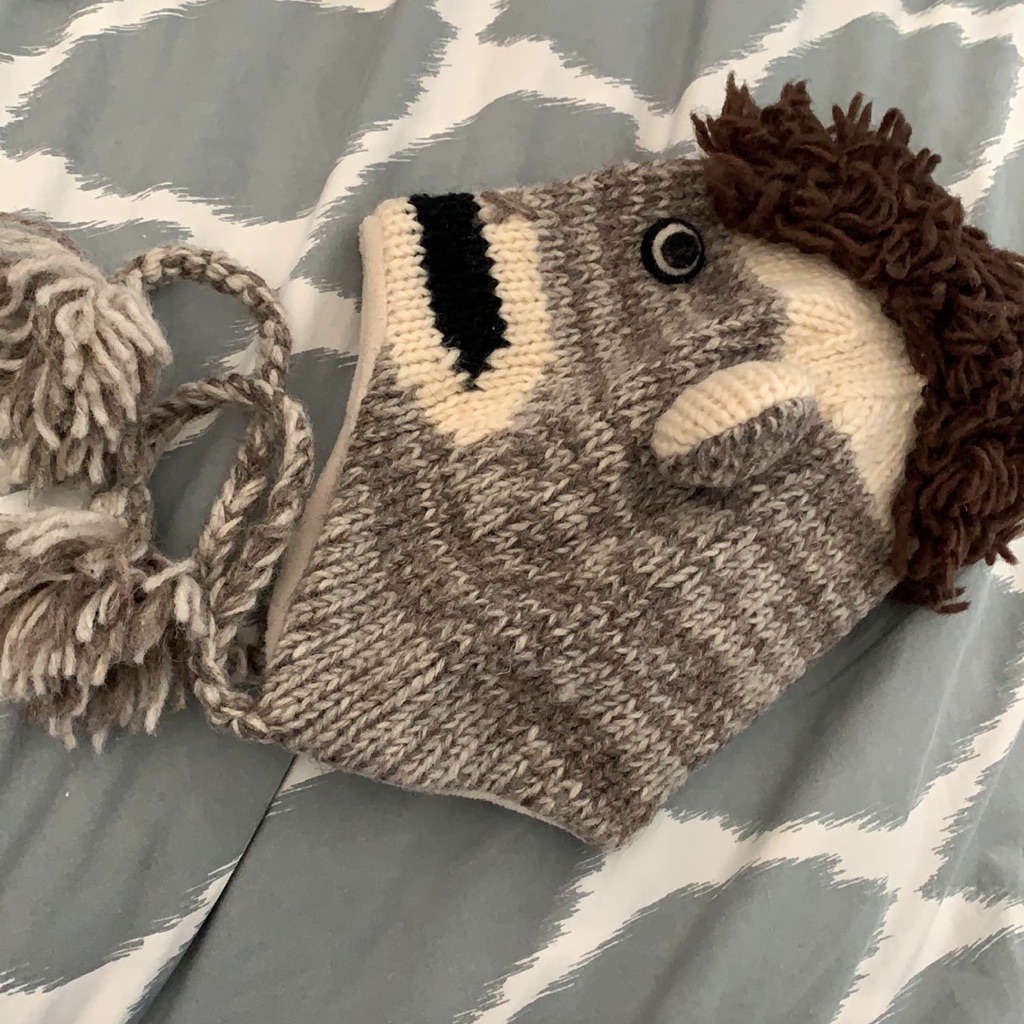Sock Monkey Winter Hat